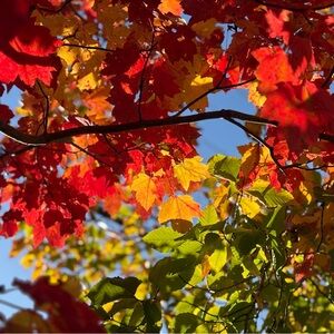 Meet your Posher, Jay